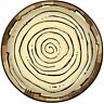 127517 Beistle Company Woodland Friends Plates 034689077305