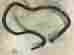 134592700 Kenmore Washer Washing Drain Hose