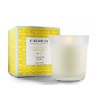 18962 Caldrea Sea Salt Neroli Candle 808124189621