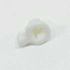 Wpl-22002614 22002614 Whirlpool Maytag Lid Dispenser