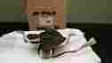 S97011220 Broan Range Hood Fan Motor