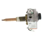 Rheem-ruud SP14270F Comb Nat Gas Control Valve. Fixed Price $120.54.