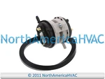 Climatek Air Pressure Switch Replaces Trane American Standard SWT02979 SWT2979. Fixed Price $57.95.