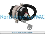 Oem Trane American Standard Furnace Air Pressure Switch Fits SWT02979 SWT2979. Fixed Price $83.95.