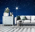 3D Glossy Polaris ZHUA7521 Wallpaper Murals Removable Self-adhesive Ann 24. Fixed Price $215.54.