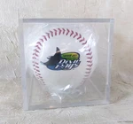 Tampa Bay Devil Rays Vintage 1990S Rawlings Baseball Case Old Logo Mlb. Fixed Price $44.95.