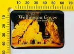 Vintage Souvenir Fridge Magnet The Wellington Caves Nsw Australia Refrigerator. Fixed Price $10.69.