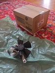 WB26K5061 Genuine Oem Range Cooling Fan Motor Assembly - B33. Fixed Price $85.00.