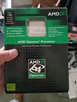 Amd Opteron Model 146 Duel Core Processor No Heat Sink Open. Fixed Price $30.00.
