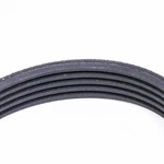 WPW10006388 Whirlpool Drive Belt Oem. Fixed Price $35.95.