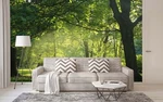 3D Summer Forest ZHUA7538 Wallpaper Murals Removable Self-adhesive Ann 24. Fixed Price $179.62.