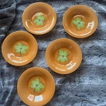 Luminarc 5 Salad Bowls Orange Pop Flower Tempered Glass Tableware Floral. Fixed Price $17.49.