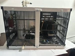ICSP1GFG1L Oem Crystal Mountain Iceberg Water Chiller. Fixed Price $450.00.