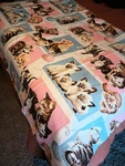 Vintage Kitten Print Blanket Pink Blue Retro Kitsch Usa Nos. Fixed Price $45.00.
